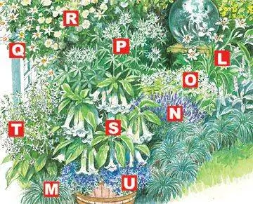 Лунный сад, нижний левый угол