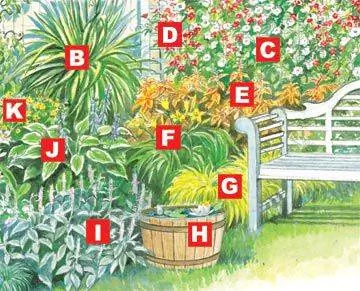 Лунный сад, правый нижний угол