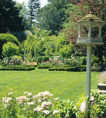 Как выбрать форму газона