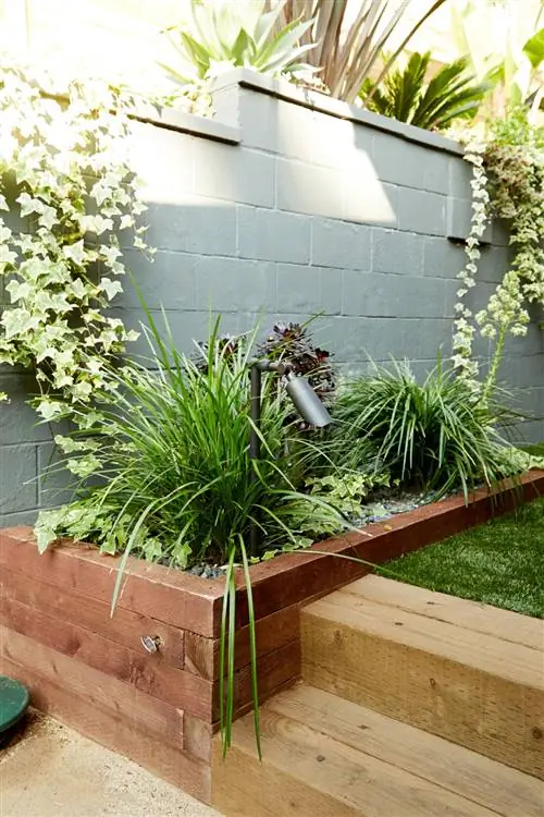 деревянные ступени в озеленении заднего двора с различными растениями и серой стеной