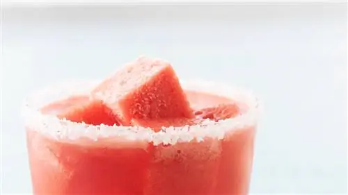 Арбузные Маргариты