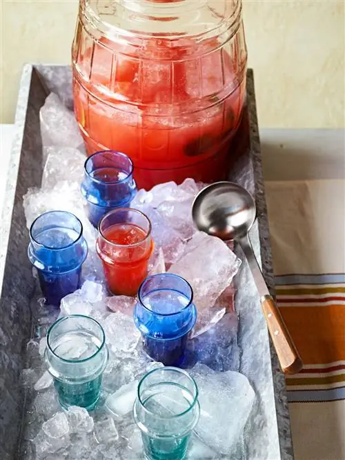 Охладители из арбуза и мяты