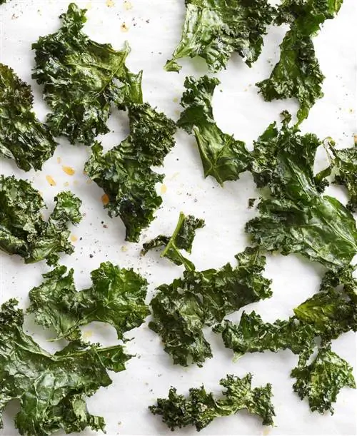 Чипсы из капусты с перцем