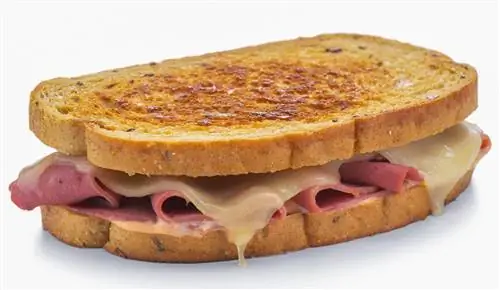 Сэндвич с жареным швейцарским соусом и солониной