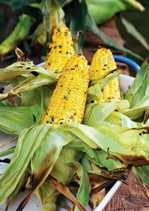 Жареная кукуруза в початках с травами