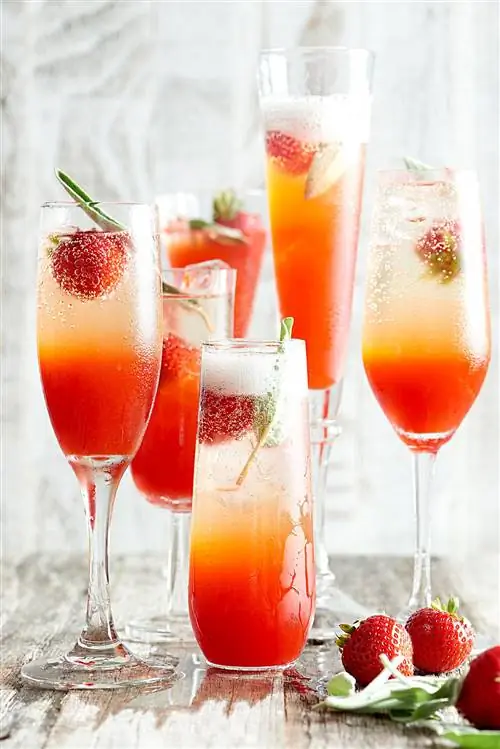 Кустарник клубники и шалфея