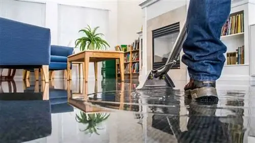 очистка воды в гостиной очистка воды в гостиной