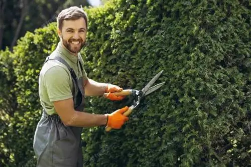 обрезка живой изгороди ножницами