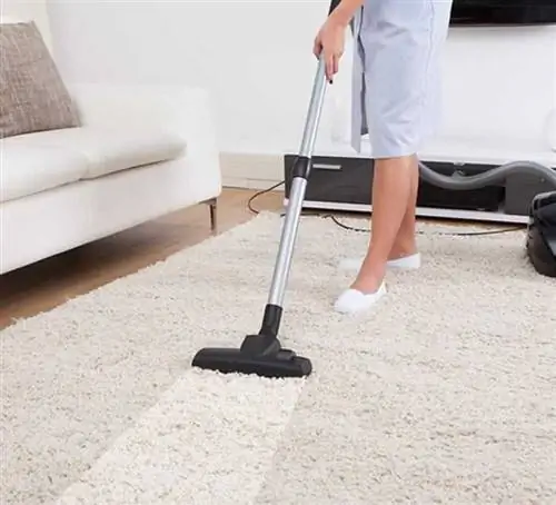 Вот почему вам следует нанять профессиональную услугу по уборке дома - чистка ковров