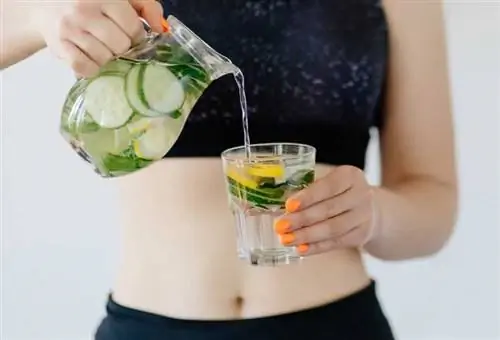 Рецепты вкусной детокс-воды