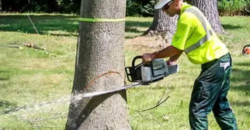 искусство дизайна гаражных ворот