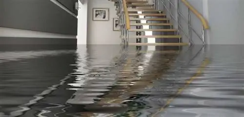 Как компания по возмещению ущерба от воды может помочь вам создать безопасный и защищенный дом - вода