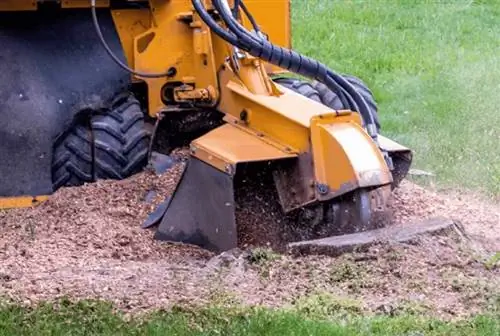 измельчение пней