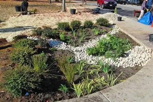 Как улучшить дренаж на газоне - дождевой сад