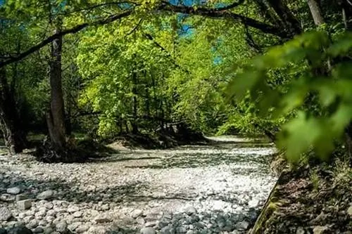 Как улучшить дренаж на газоне - русло сухого ручья