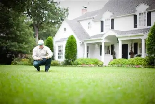 Нанять специалиста по уходу за газоном за 4 простых шага - профессионал