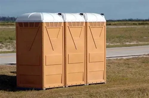 Что нужно знать, прежде чем брать горшок Porta напрокат