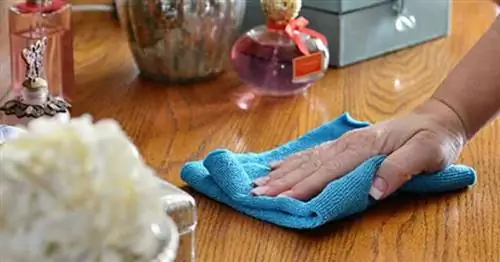 Что лучше сначала вытереть пыль или пропылесосить?