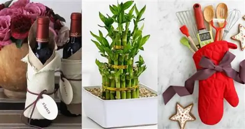 Идеальные подарки на новоселье - идеи