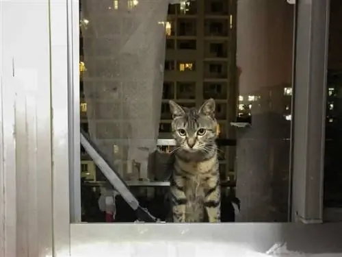 Стоит ли чинить оконную сетку