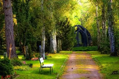 6 советов, как сохранить красивый сад