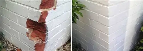 цветы