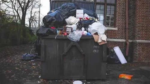 Переполненный мусорный контейнер