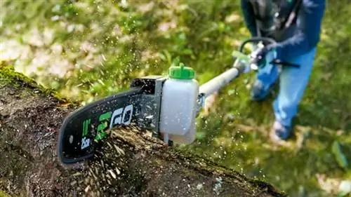 изысканная кухня