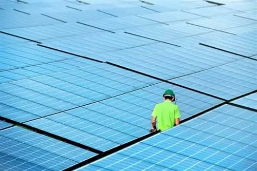 городской лес - издалека