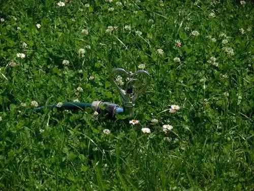 Как распознать, предотвратить и устранить повреждение ирригационной системы