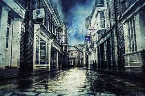 Навести порядок после большой бури: с чего начать?