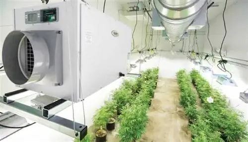 Как сохранить каннабис прохладным, используя системы отопления, вентиляции и кондиционирования воздуха для выращивания?