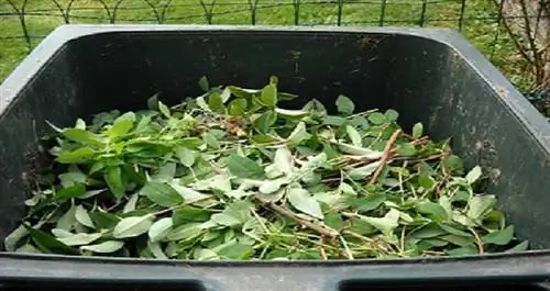 Почему услуга Skip Hire идеально подходит для уборки сада - листья
