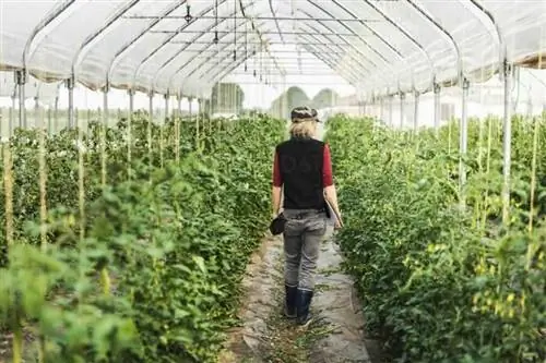 женщина в теплице