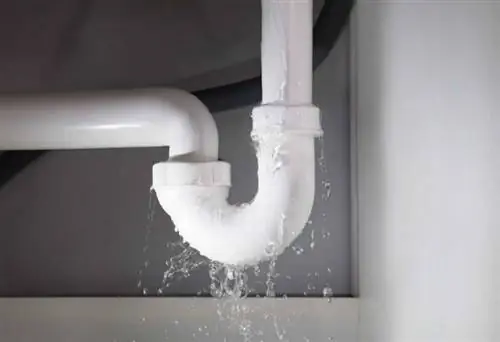 Интерьер бани от Voodoo Butta