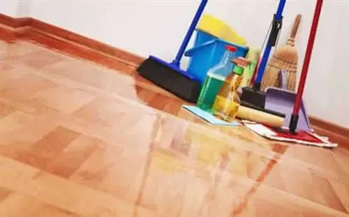На что обратить внимание при заказе профессиональной клининговой услуги На что обратить внимание при заказе профессиональной клининговой услуги