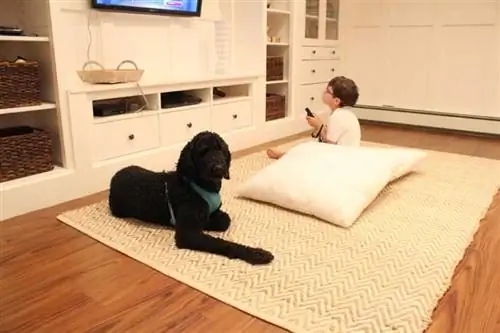 4 способа шумоизоляции деревянного пола - ковролина