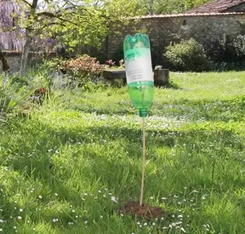 Как избавиться от кротов: система «бутылка на палочке»