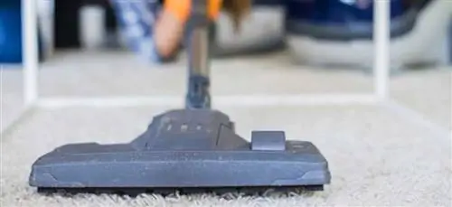 5 советов по составлению бюджета на чистку ковров