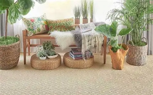 растения в декоре дома