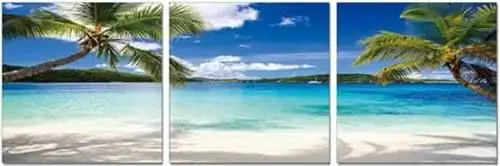 Идеи настенного рисунка - пальмы