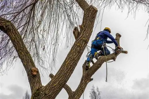 удаление конечностей