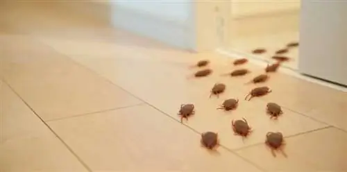 заражение ошибками
