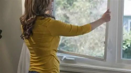 Стоит ли оставлять сетки на окнах зимой - снимаем сетки