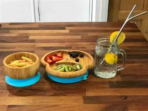 Как добиться отсутствия пластика в семье