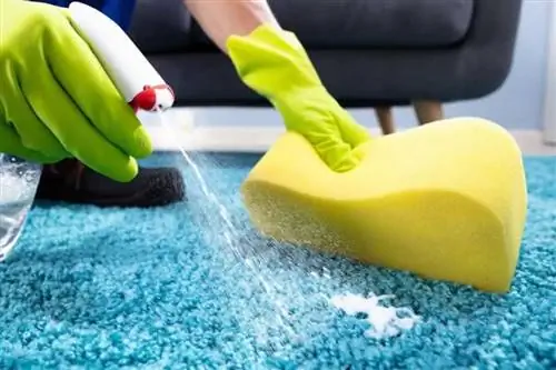 "чистка ковра губкой