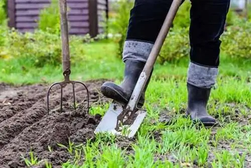 Всемирный день без табака: 6 вещей, которые напоминают вам не курить