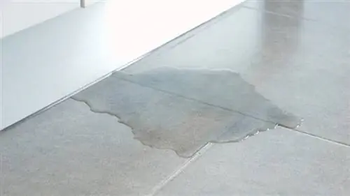 лужа воды на полу