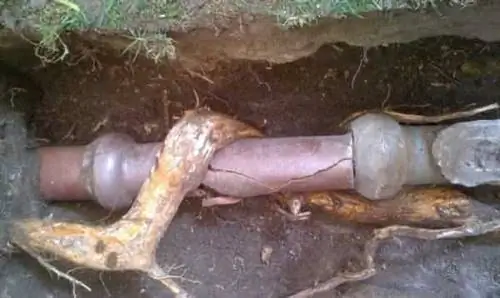 "корни деревьев сломали трубу