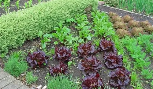 Компостирование - огород